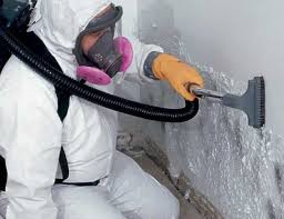 Best Airborne Mold Testing  in Fairview, CA